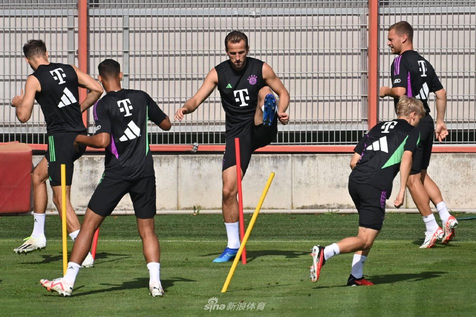 成熟的战斗 成熟的战斗